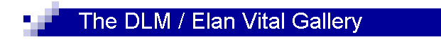 The DLM / Elan Vital Gallery